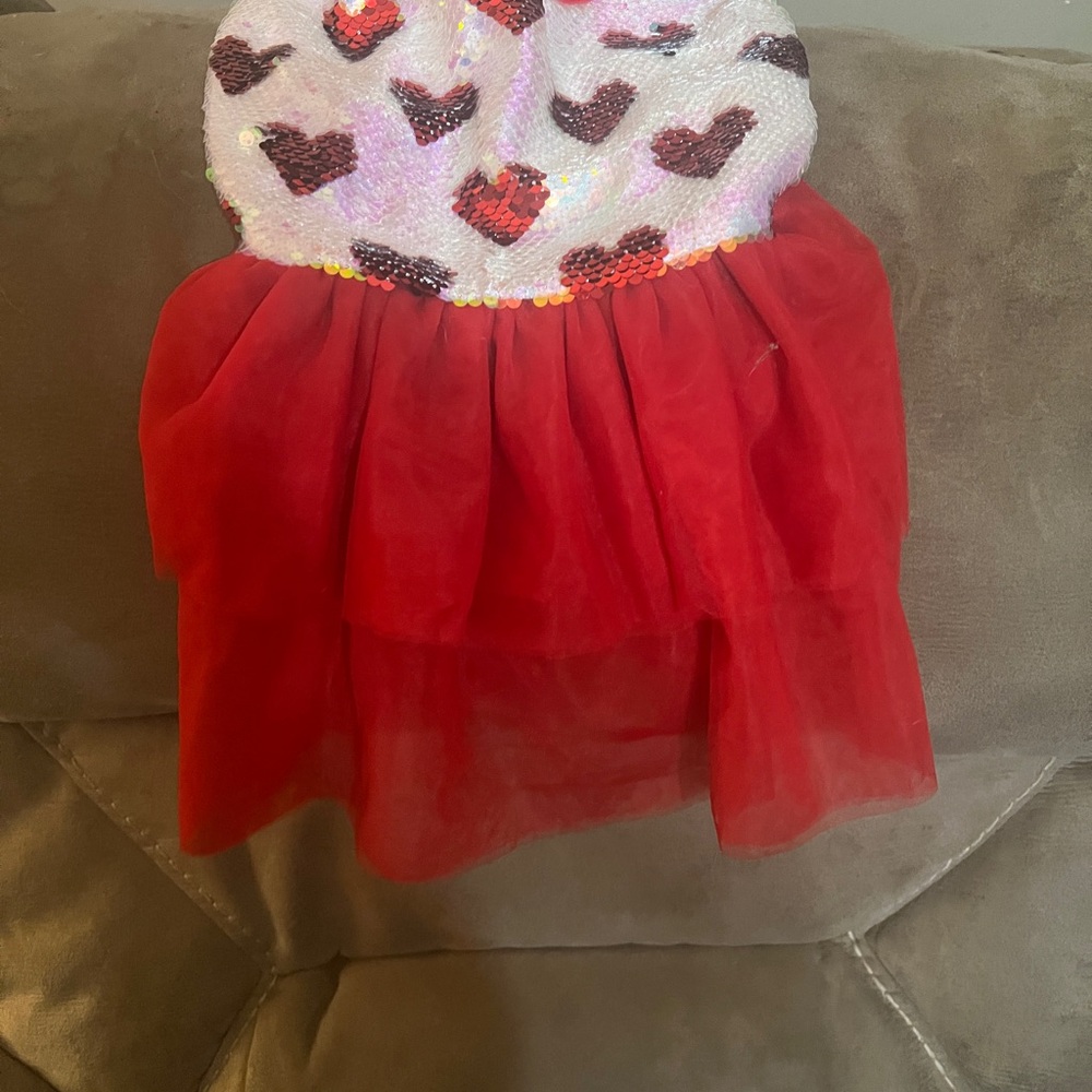 Chic Red Heart Dog Dress